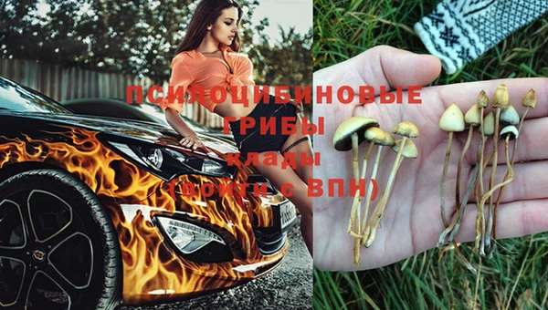 а пвп мука Алзамай