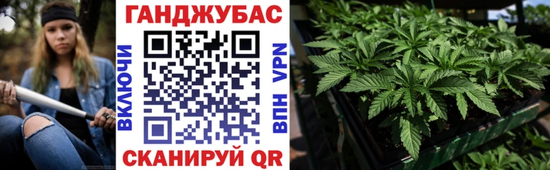 Бошки Шишки ГИДРОПОН где купить наркоту Бакал